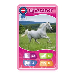 Galeria - zdjęcie nr. 4 - TOP TRUMPS Konie, kucyki i jednorożce - wersja kartonik