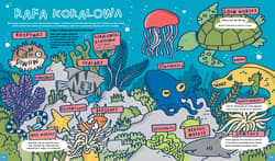 Galeria - zdjęcie nr. 4 - Totalnie wszystko o rekinach i innych podwodnych stworach