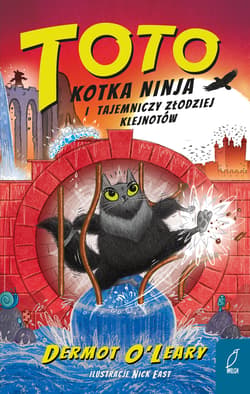 Toto. Kotka ninja i tajemniczy złodziej klejnotów - Dermot O'Leary