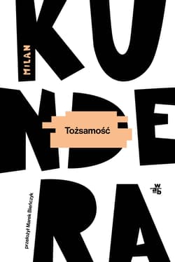 Tożsamość wyd. 2024 - Milan Kundera