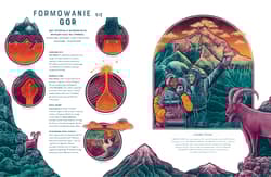 Galeria - zdjęcie nr. 2 - Trach. Zdumiewający świat natury