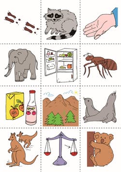 Galeria - zdjęcie nr. 4 - Trening słuchu ćwiczenia rozwijające percepcję słuchową u dzieci +CD