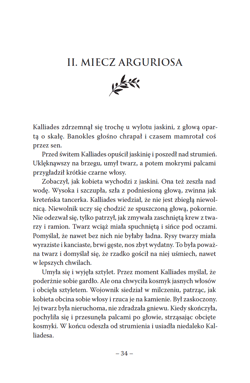 Galeria - zdjęcie nr. 2 - Troja Tom 2 Tarcza Gromu