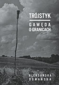 Trójstyk. Gawęda o granicach - ebook - Aleksandra Domańska