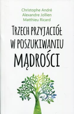 Trzech przyjaciół w poszukiwaniu mądrości - Jollien Alexandre, Ricard Matthieu Ricard