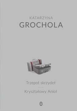 Trzepot skrzydeł Kryształowy Anioł - Katarzyna  Grochola