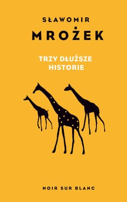 Trzy dłuższe historie - ebook - Sławomir Mrożek