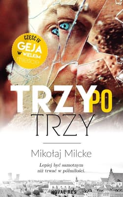 Trzy po trzy. Gej w wielkim mieście. Tom 4 - Mikołaj Milcke