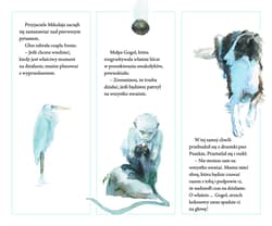 Galeria - zdjęcie nr. 5 - Trzy pytania