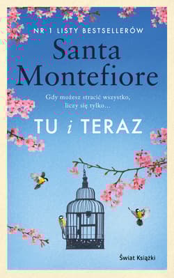 Tu i teraz - Santa  Montefiore