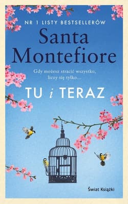 Tu i teraz - Santa  Montefiore