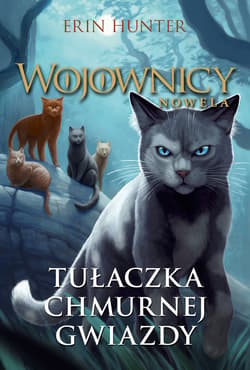 Tułaczka Chmurnej Gwiazdy - ebook