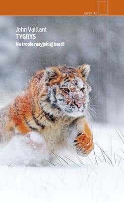 Tygrys - ebook