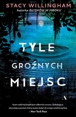 Tyle groźnych miejsc - Stacy Willingham
