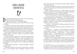 Galeria - zdjęcie nr. 2 - Tylko dla Twoich oczu