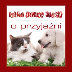 Tylko dobre myśli O przyjaźni - Opracowanie Zbiorowe