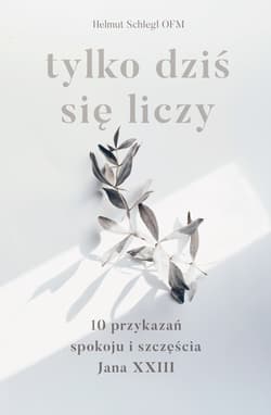 Tylko dziś się liczy 10 przykazań spokoju i szczęścia Jana XXIII - Helmut Schlegel