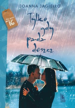 Tylko gdy pada deszcz - ebook