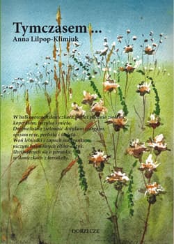 Tymczasem