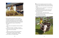 Galeria - zdjęcie nr. 2 - Ucieczka Pippi