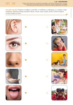 Galeria - zdjęcie nr. 4 - Uczę się i rozwijam karty pracy część 2 materiały do obserwacji rozwoju ucznia z niepełnosprawnością intelektualną w stopniu umiarkowanym i znacznym