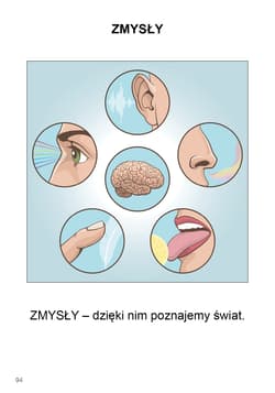 Galeria - zdjęcie nr. 5 - Uczę się z kartami pracy podręcznik dla uczniów z niepełnosprawnością intelektualną