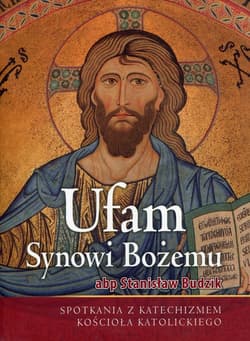 Ufam Synowi Bożemu Spotkania z Katechizmem Kościoła Katolickiego - Stanisław Budzik