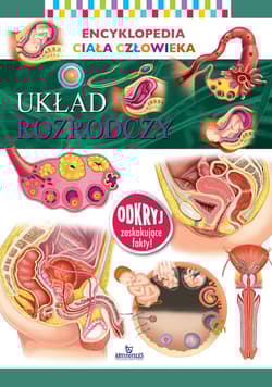 Układ rozrodczy. Encyklopedia ciała człowieka - Opracowanie Zbiorowe