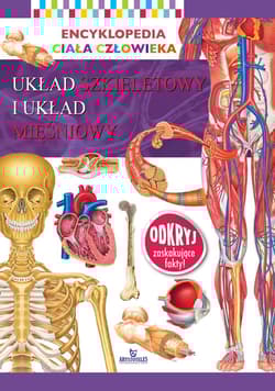 Układ szkieletowy i układ mięśniowy. Encyklopedia ciała człowieka