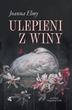 Ulepieni z winy - Joanna Elmy