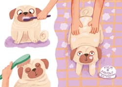 Galeria - zdjęcie nr. 3 - Ulica Pazurkowa Matylda i Klopsik