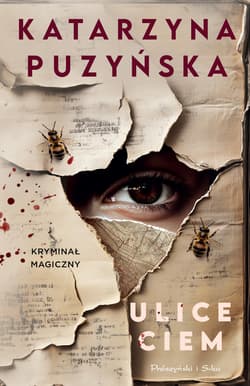 Ulice ciem - ebook - Katarzyna Puzyńska