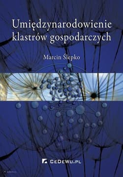 Umiędzynarodowienie klastrów gospodarczych - Marcin Ślepko