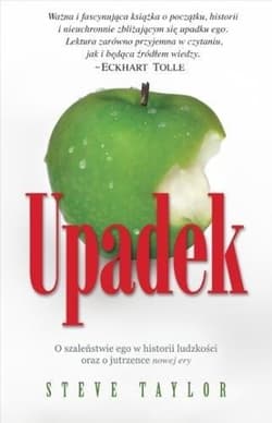 Upadek - Taylor Steve