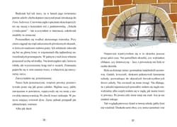 Galeria - zdjęcie nr. 2 - Upiór w szkole