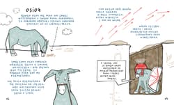 Galeria - zdjęcie nr. 3 - Uwaga, wilk! I inne bajki Ezopa