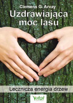 Uzdrawiająca moc lasu