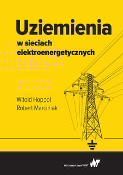 Uziemienia w sieciach elektroenergetycznych - Witold Hoppel