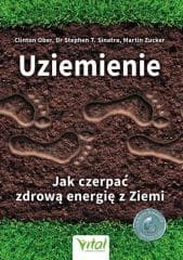 Uziemienie Jak czerpać zdrową energię z ziem - Ober Clinton