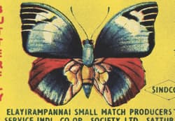 Galeria - zdjęcie nr. 3 - Vintage Matchboxes