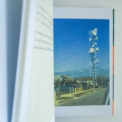 Galeria - zdjęcie nr. 4 - Violet robi mostek na trawie