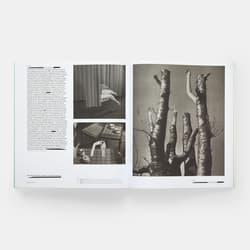Galeria - zdjęcie nr. 3 - Vitamin C+