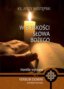 W bliskości słowa Bożego Homilie wybrane - Jerzy Niestępski