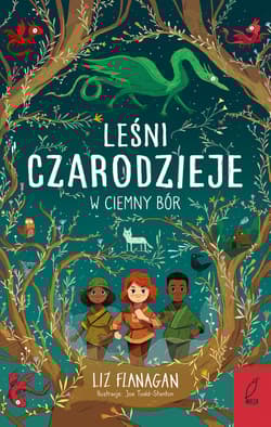 W ciemny bór. Leśni czarodzieje - Liz Flanagan