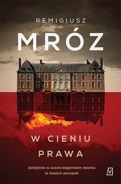 W cieniu prawa - Remigiusz Mróz