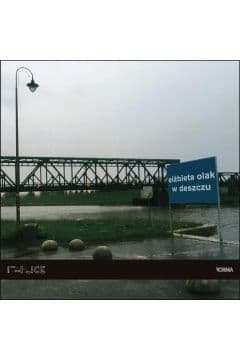 W deszczu - Elżbieta Olak