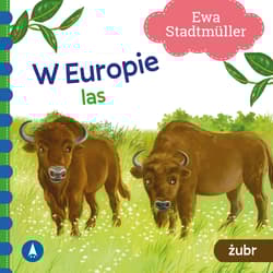 W Europie. Las. Żubr - Ewa Stadtmller