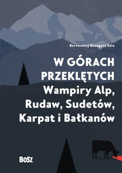 W górach przeklętych - ebook - Sala Bartłomiej Grzegorz