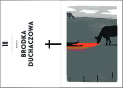 Galeria - zdjęcie nr. 4 - W górach przeklętych. Wampiry Alp, Rudaw, Sudetów, Karpat i Bałkanów