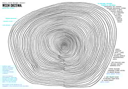Galeria - zdjęcie nr. 3 - W góry!